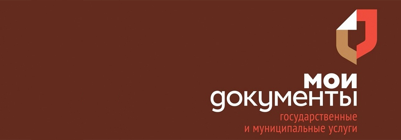 Список мер социальной поддержки через МФЦ